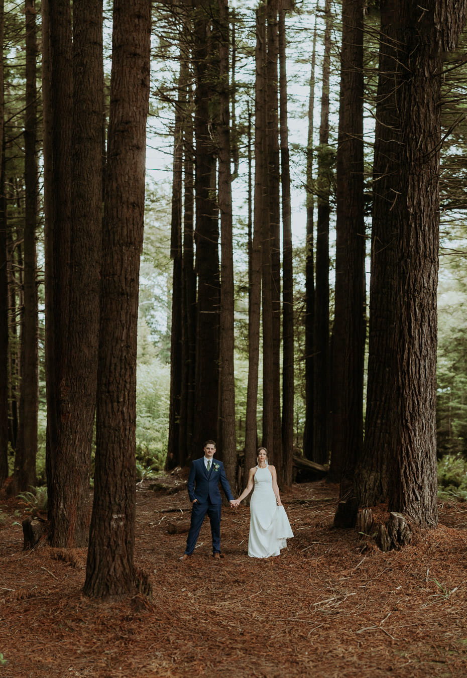 A wedding portrait among the redwoods